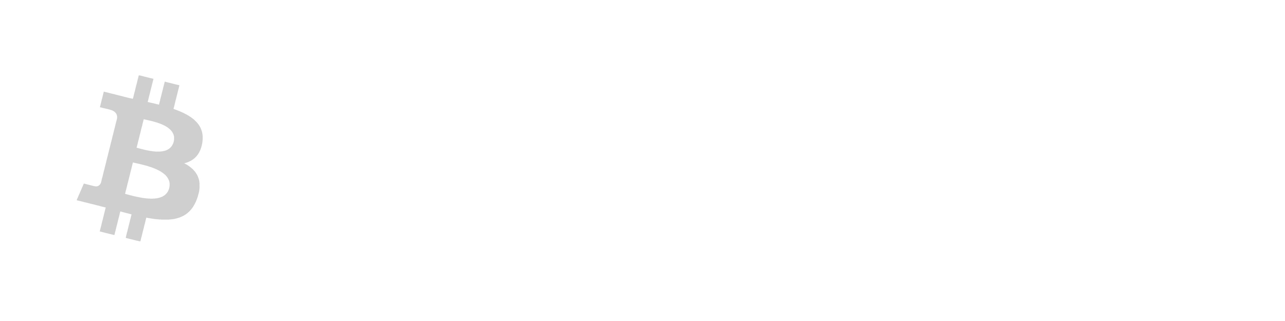 Bitcoin payments accepted